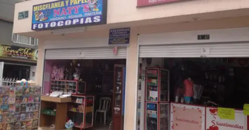 MISCELANEA Y PAPELERIA NATYS MISCELANEA Y PAPELERIA NATYS